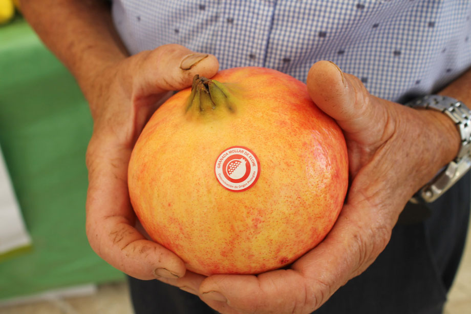 Granada mollar de elche. Reina de las granadas