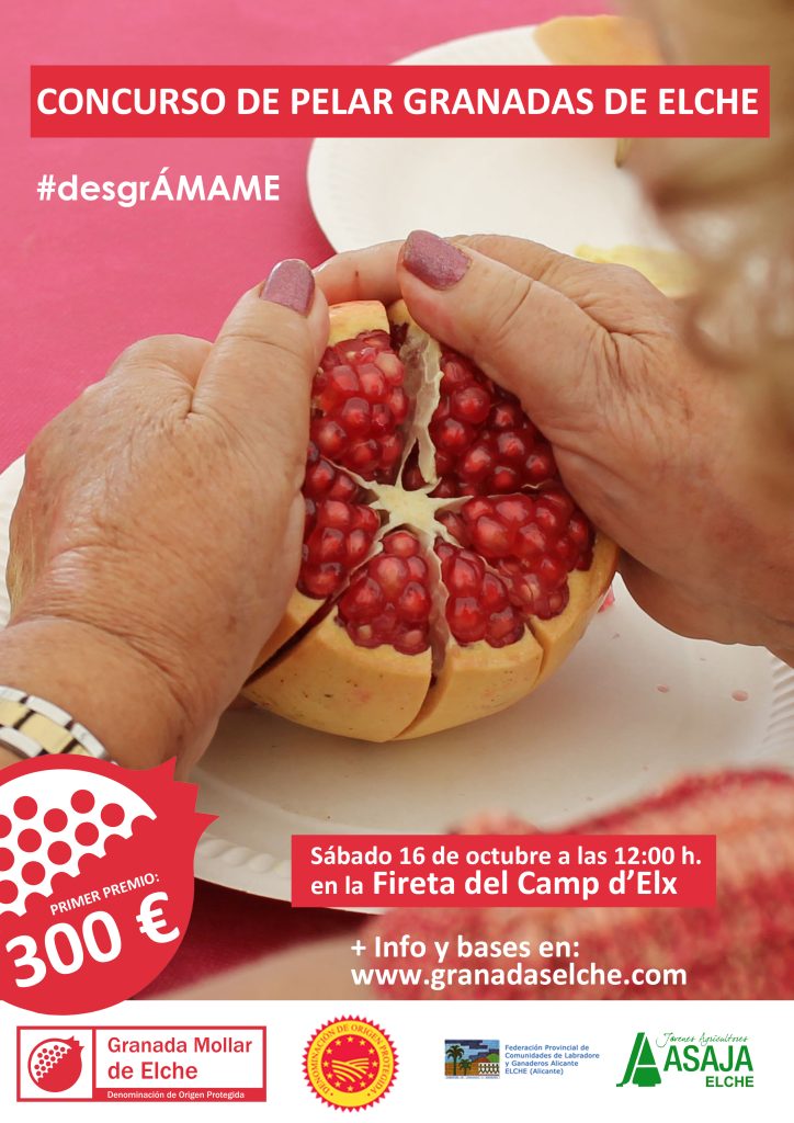 Granada mollar de elche. Reina de las granadas