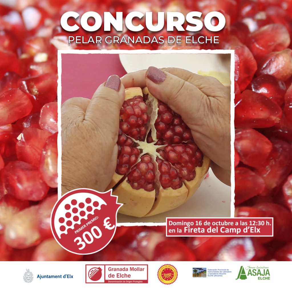 Granada mollar de elche. Reina de las granadas